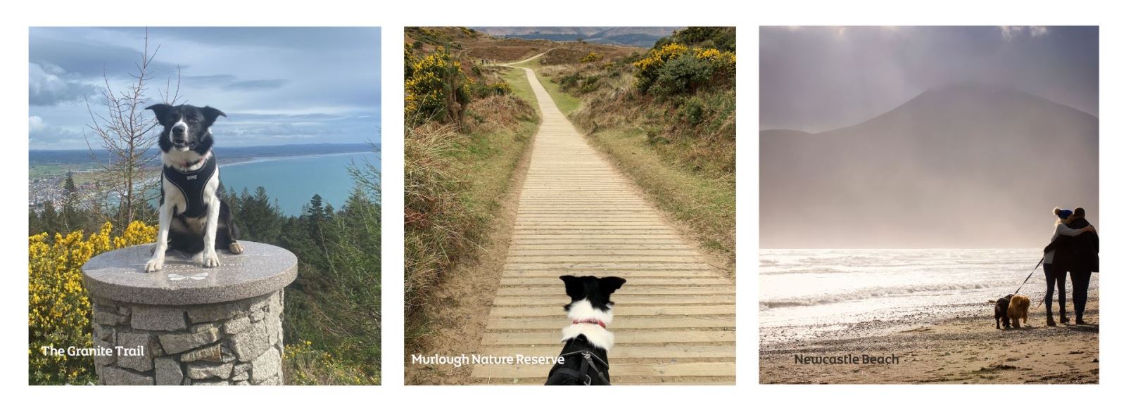 Things to do in Newcastle